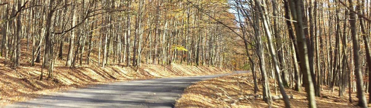 Arpentez les magnifiques routes de la Slovaquie en automne ...