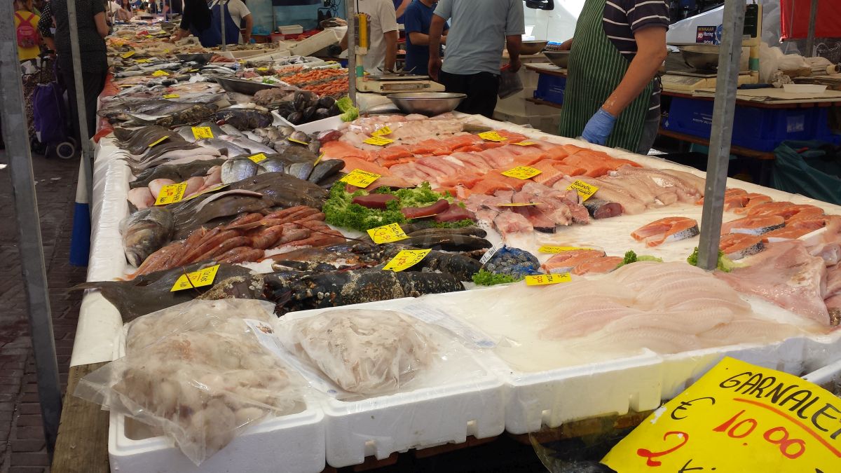 Rotterdam : le marché et ses alentours Rotterdam : le marché et ses alentours
